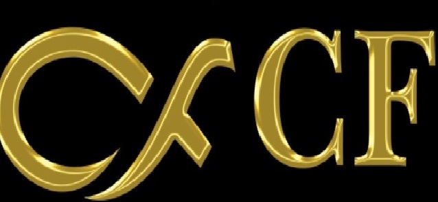 CF LOJİSTİK