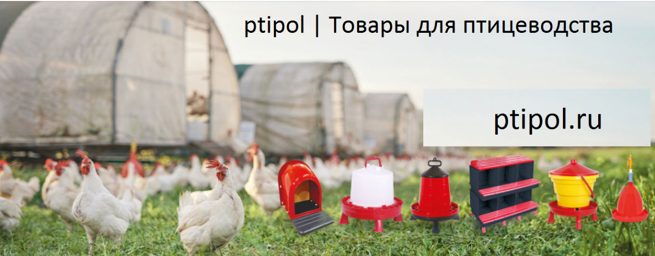Ptipol | Товары для птицеводства