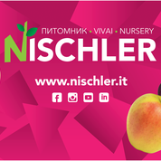Vivai Nischler