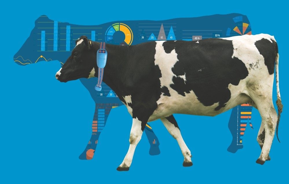 AFIMILK LTD.