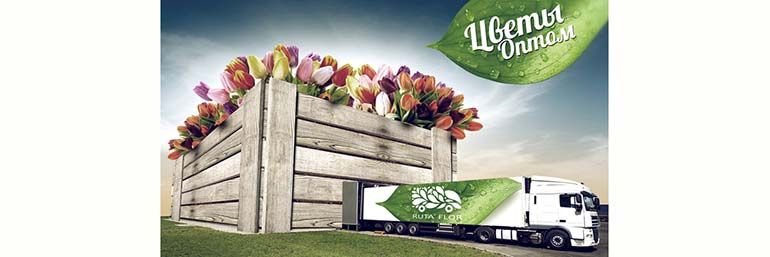 RUTA FLOR
