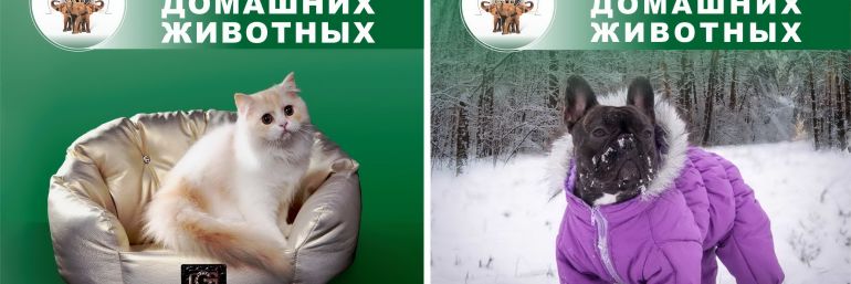 ЧТУП "ГЮ-ВАС"