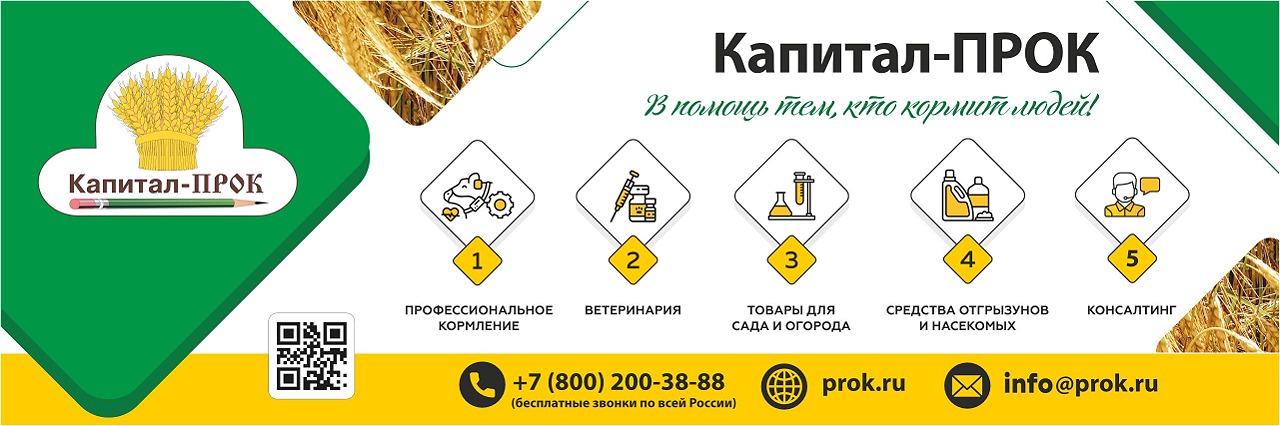 АО "Капитал-ПРОК"
