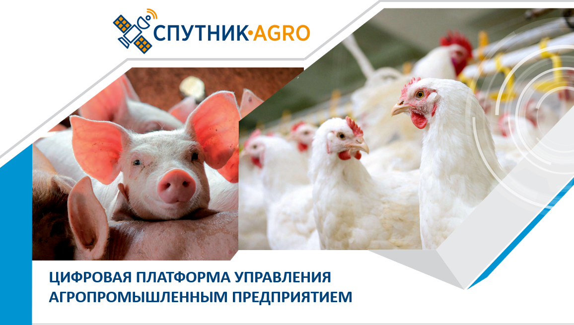 СПУТНИК-AGRO - цифровая платформа для промышленного птицеводства