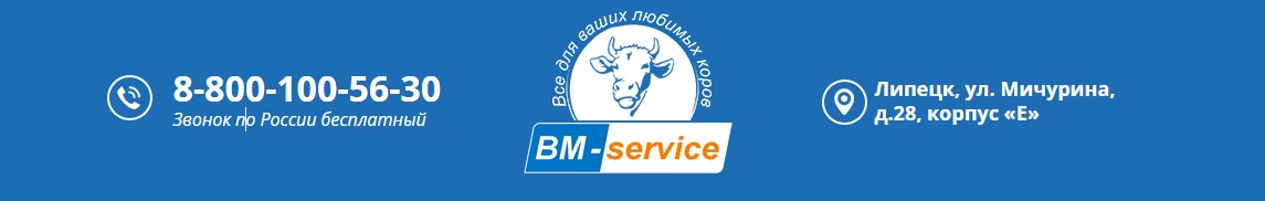 BM-service