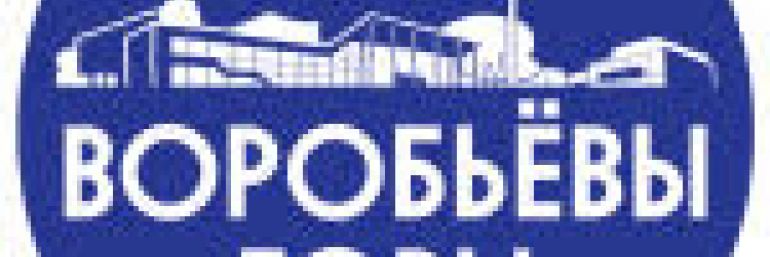 ГБПОУ «Воробьевы горы»