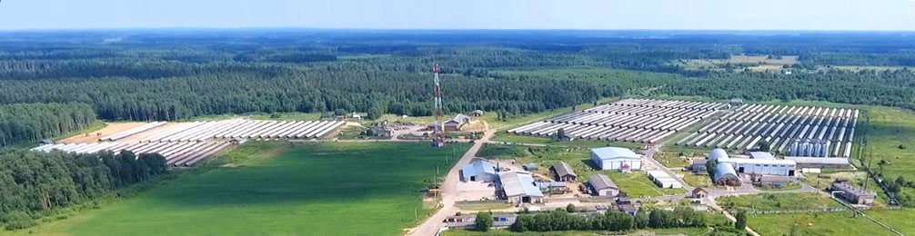Зверохозяйство МЕРМЕРИНЫ