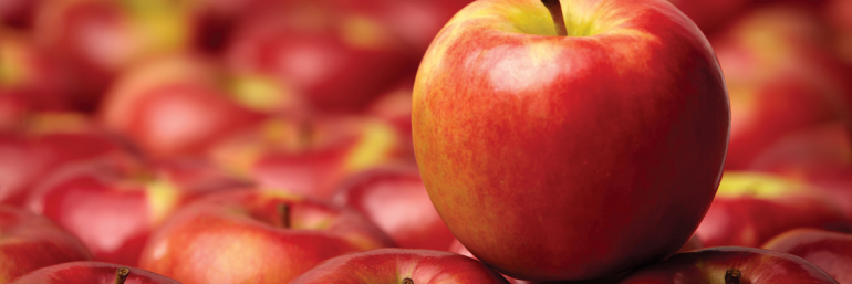 Защита сада: о чем говорят эксперты? #SYNGENTA