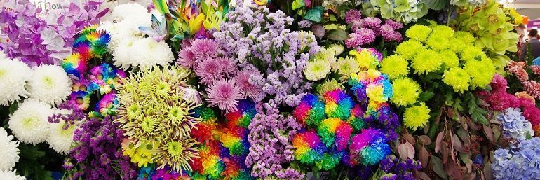 Цветы Экспо 2022 / Flowers Expo 2022